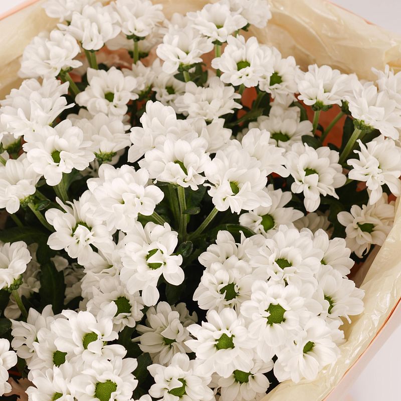 Белая нежность M фото