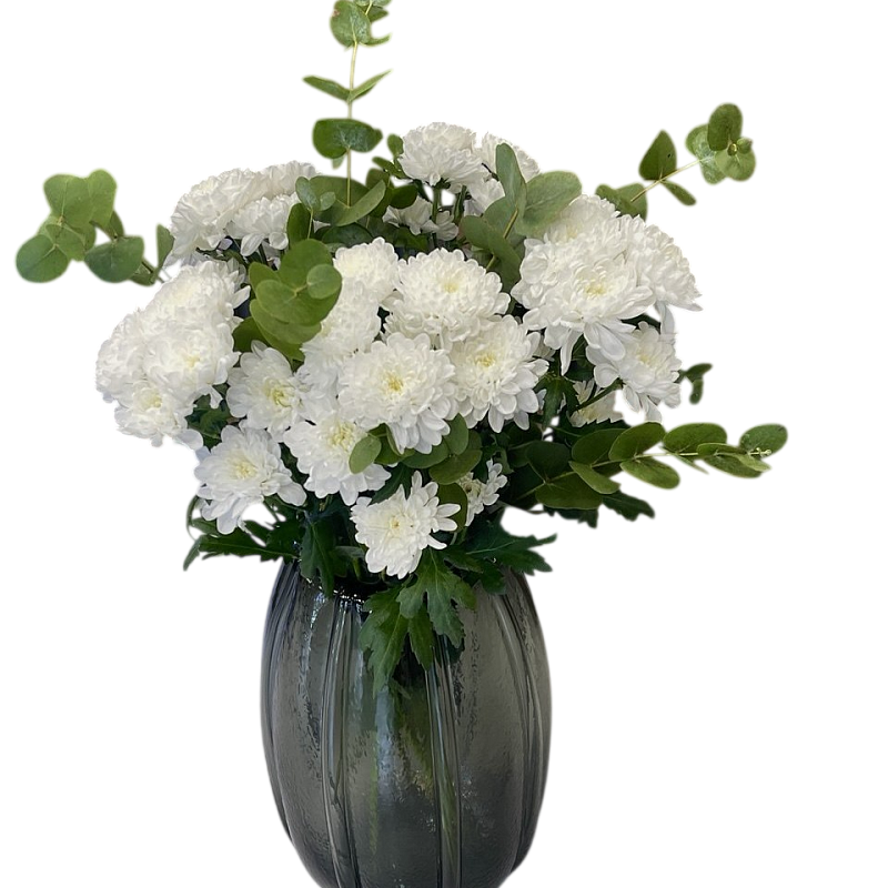 Хризантема Алтай и Эвкалипт фото