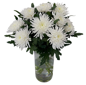 Хризантема Топспин