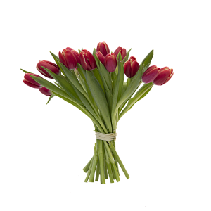 19 красных тюльпанов