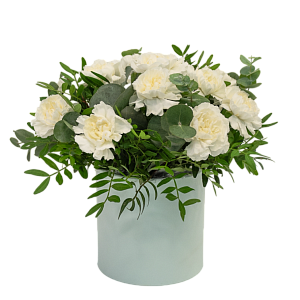 Лунный свет