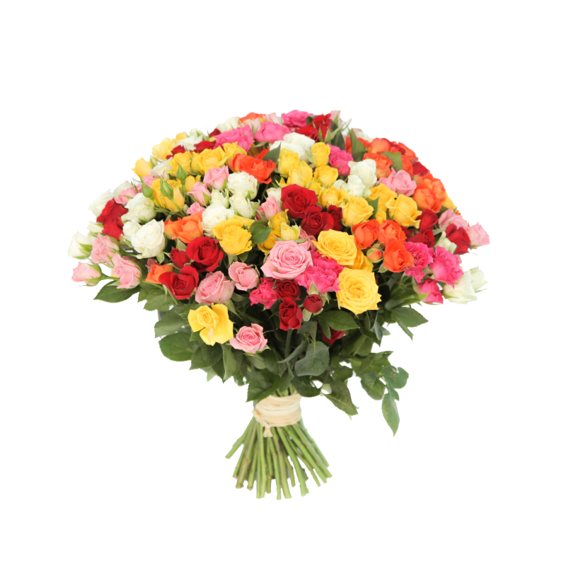 Букет из 51 разноцветной кустовой розы 35 см фото