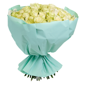 Невинность XL