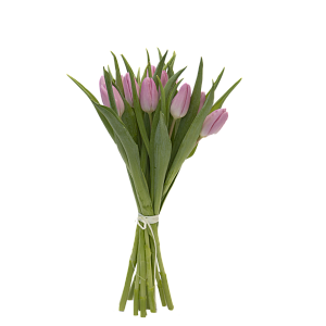 11 розовых тюльпанов