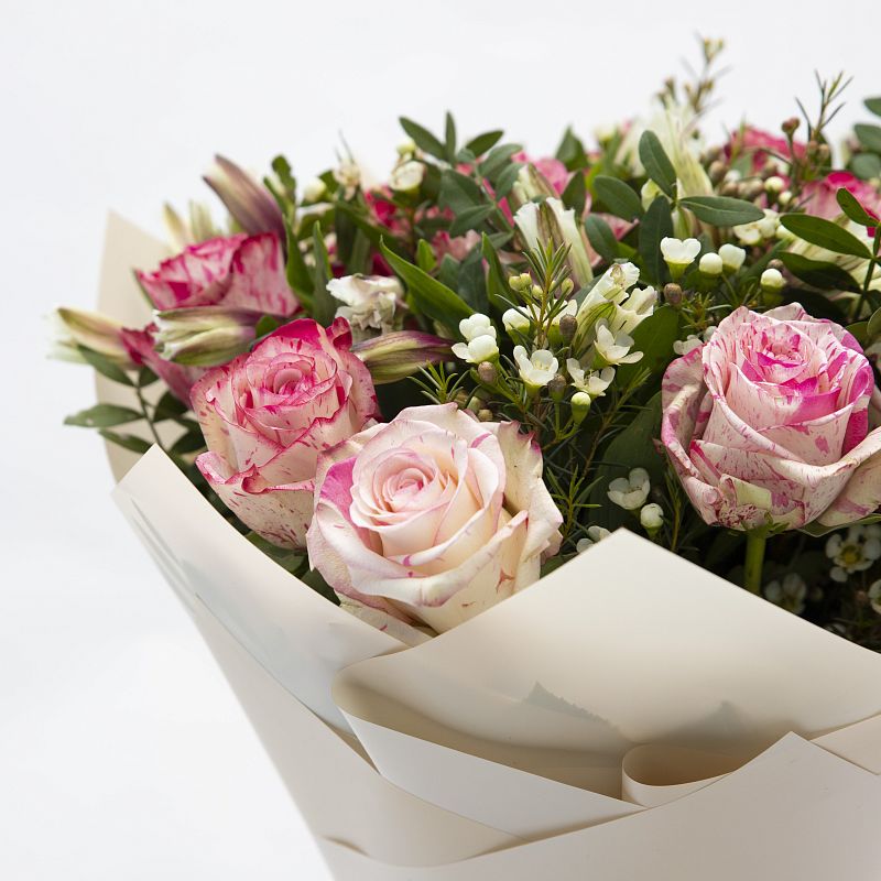 Приключение фото