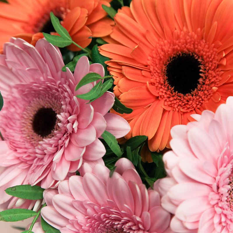 Праздник фото