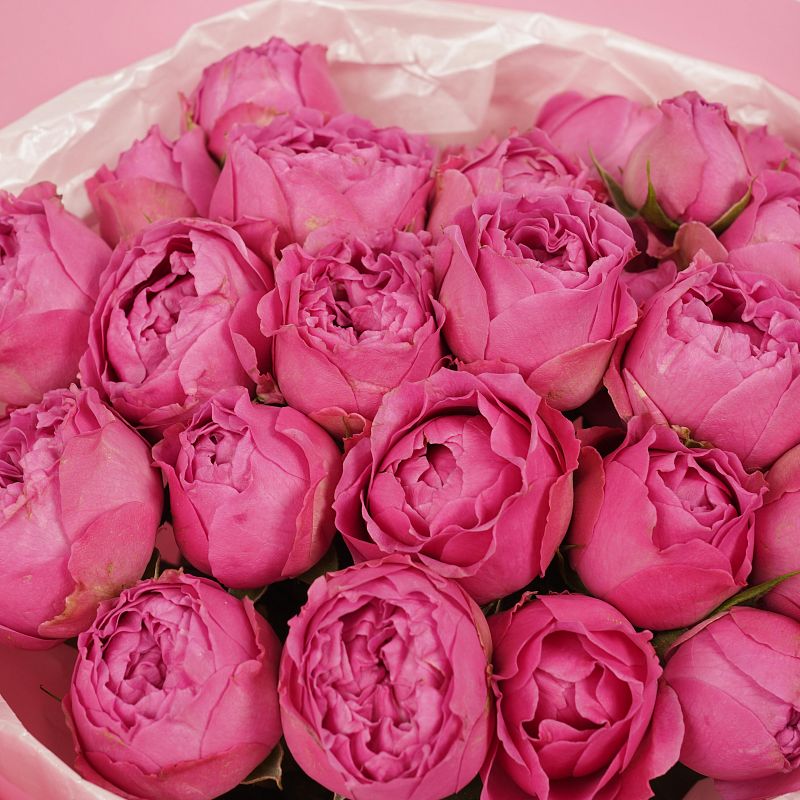 Малиновое суфле S фото