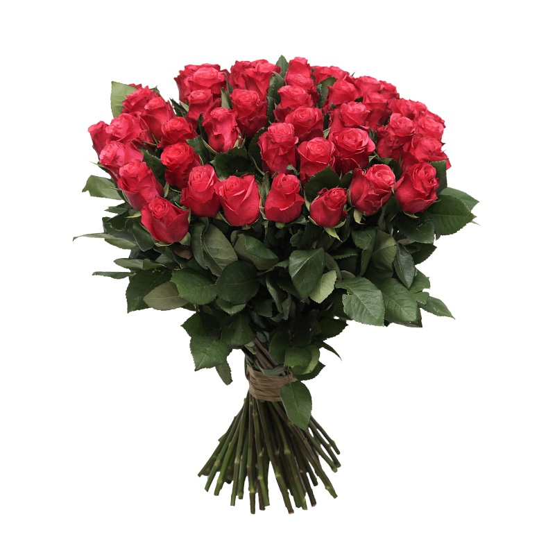 Роза Такаци фото