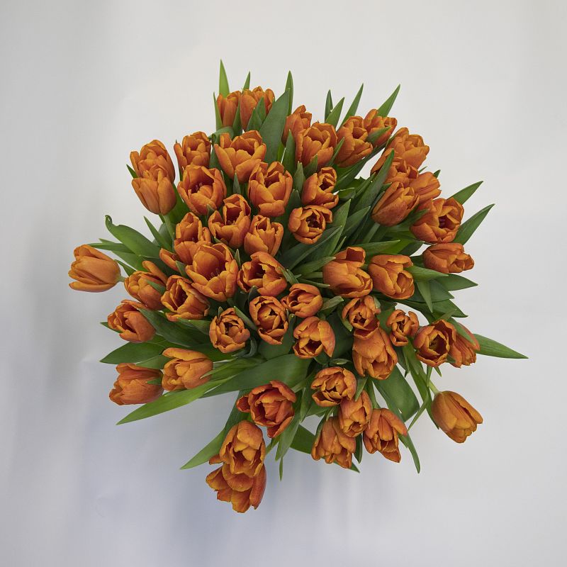 Букет оранжевых тюльпанов фото
