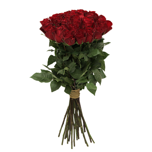 Роза Мадам Ред