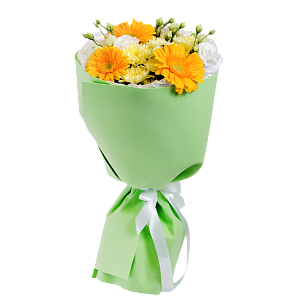 Солнечный зайчик S