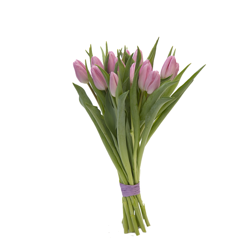 15 розовых тюльпанов фото