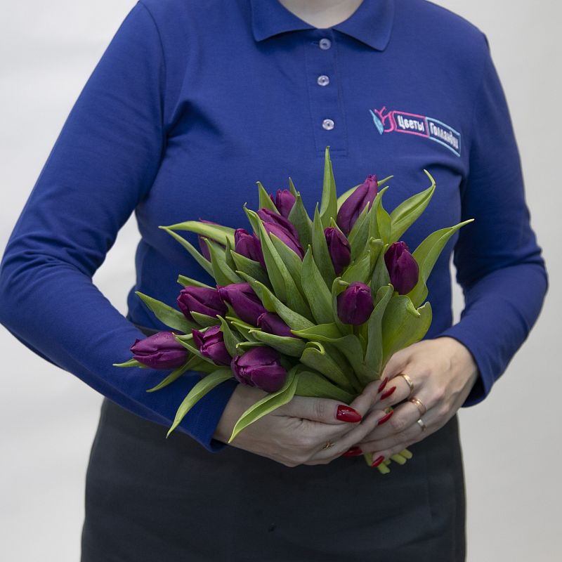 15 фиолетовых тюльпанов фото