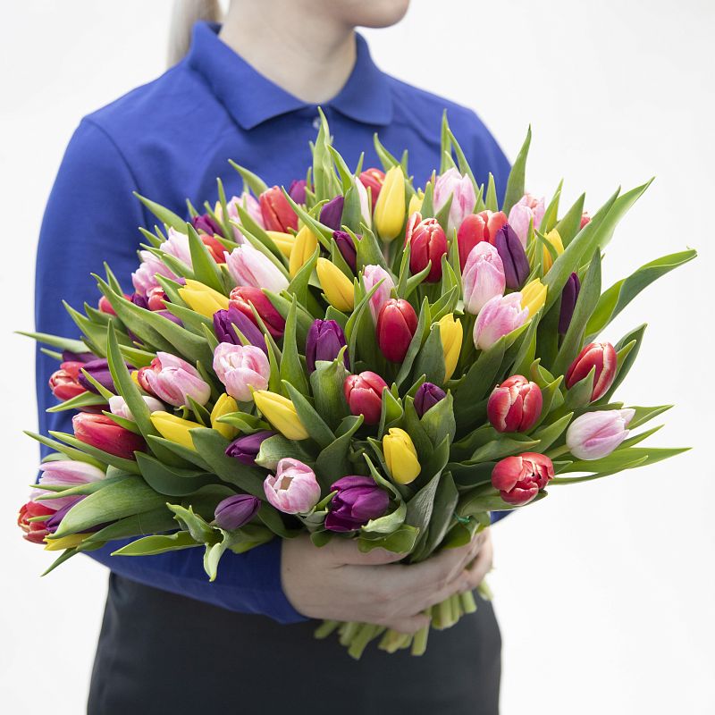 101 разноцветный тюльпан фото