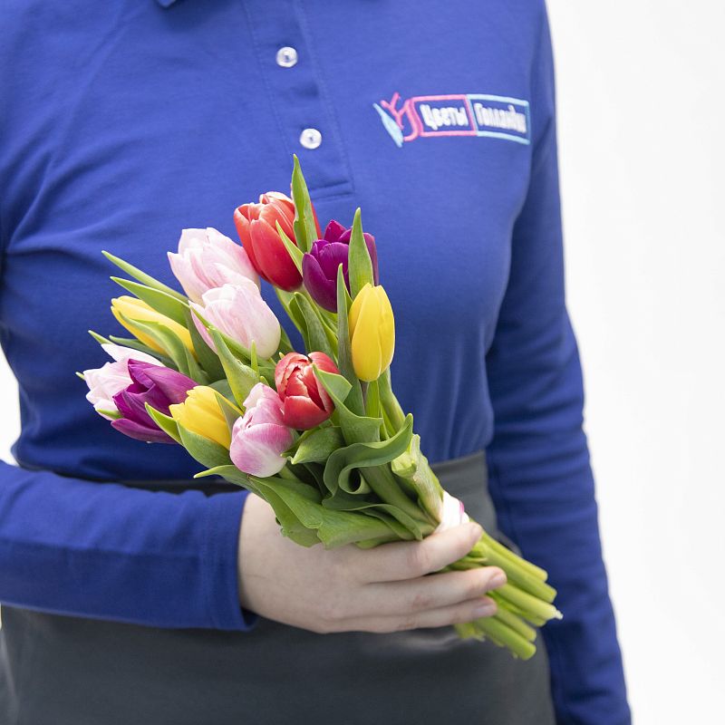 11 разноцветных тюльпанов фото