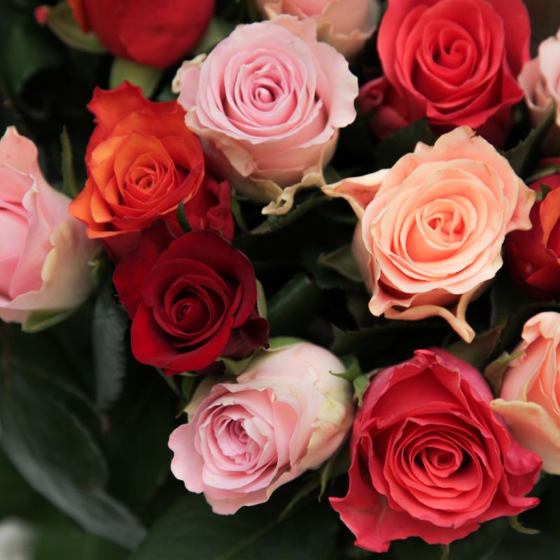 Букет из 25 разноцветных роз 60 см фото