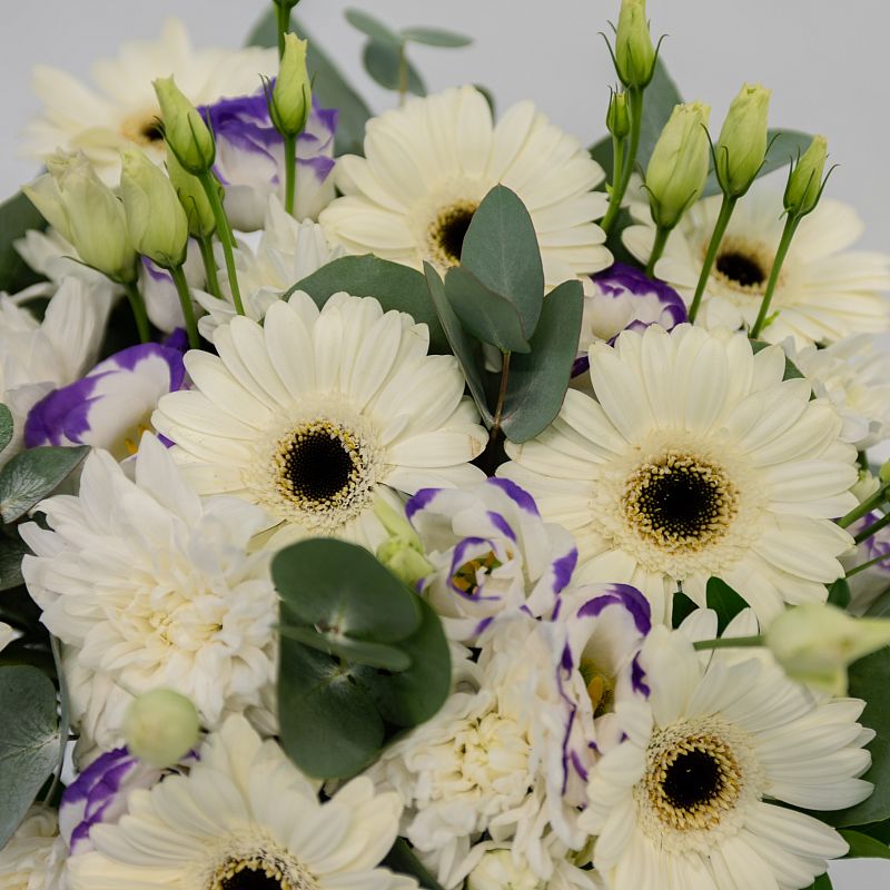 Пробуждение фото