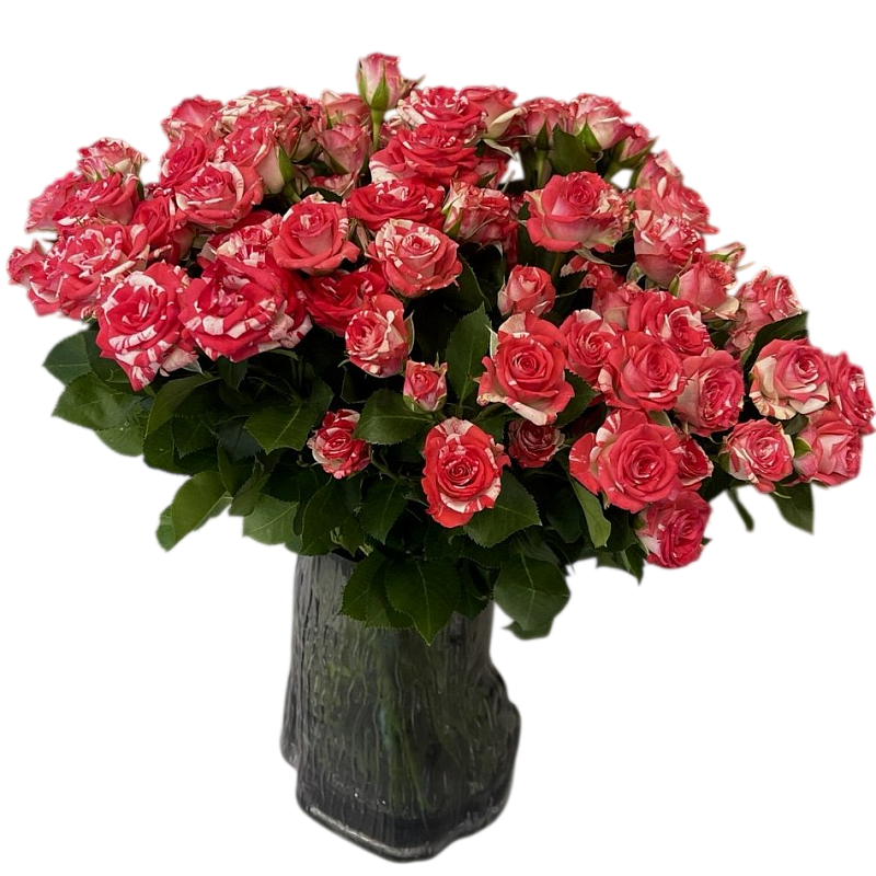 Кустовая роза Фаер Воркс 40 см фото