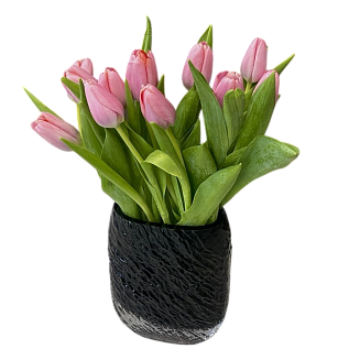 11 розовых тюльпанов