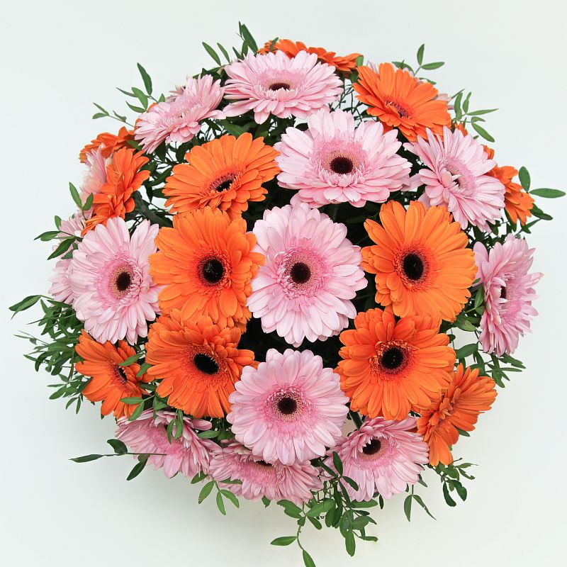 Праздник фото