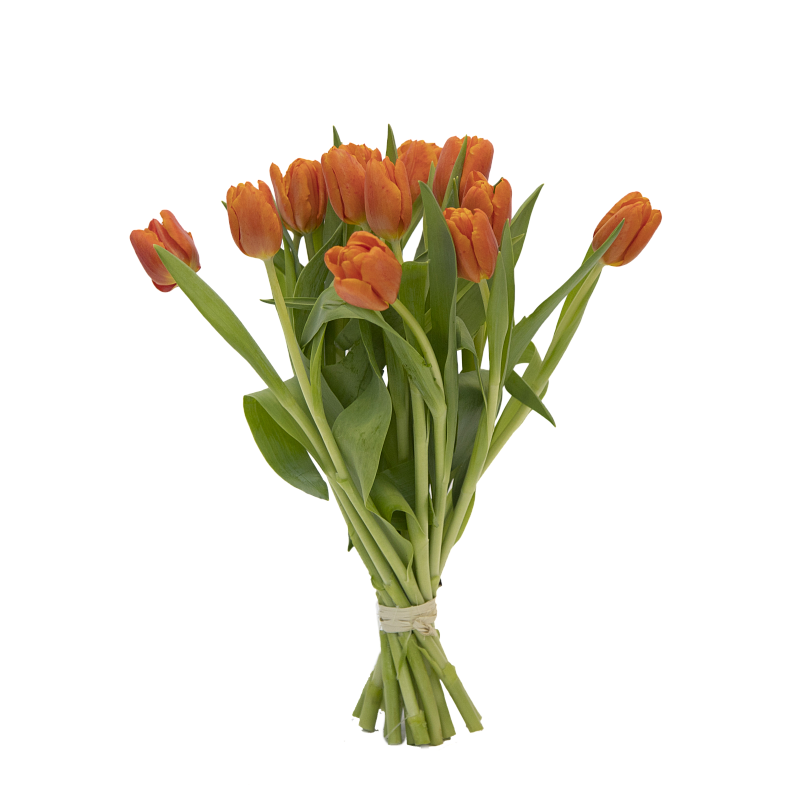 Букет оранжевых тюльпанов фото