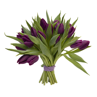 25 фиолетовых тюльпанов