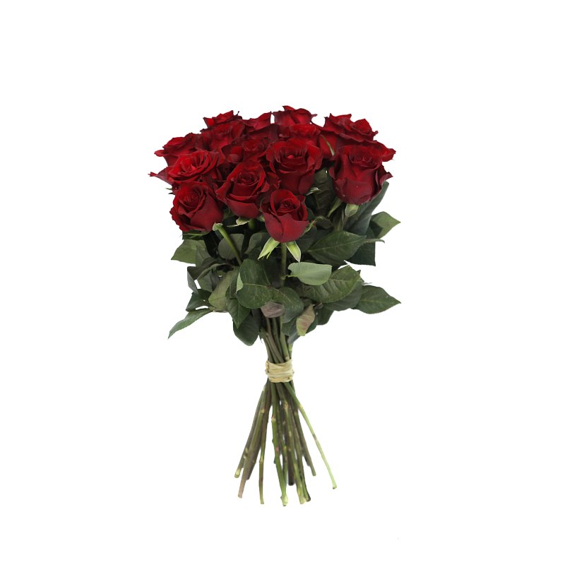 Роза Евер Ред фото