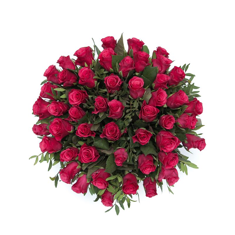 Восторг фото