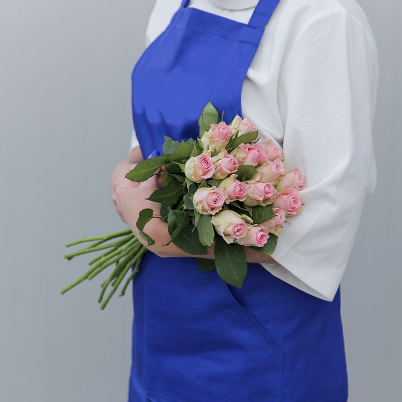 Роза Бизой фото