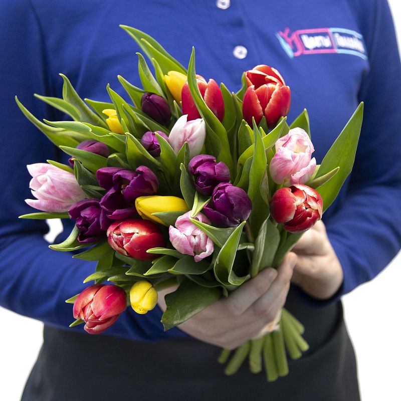 19 разноцветных тюльпанов фото