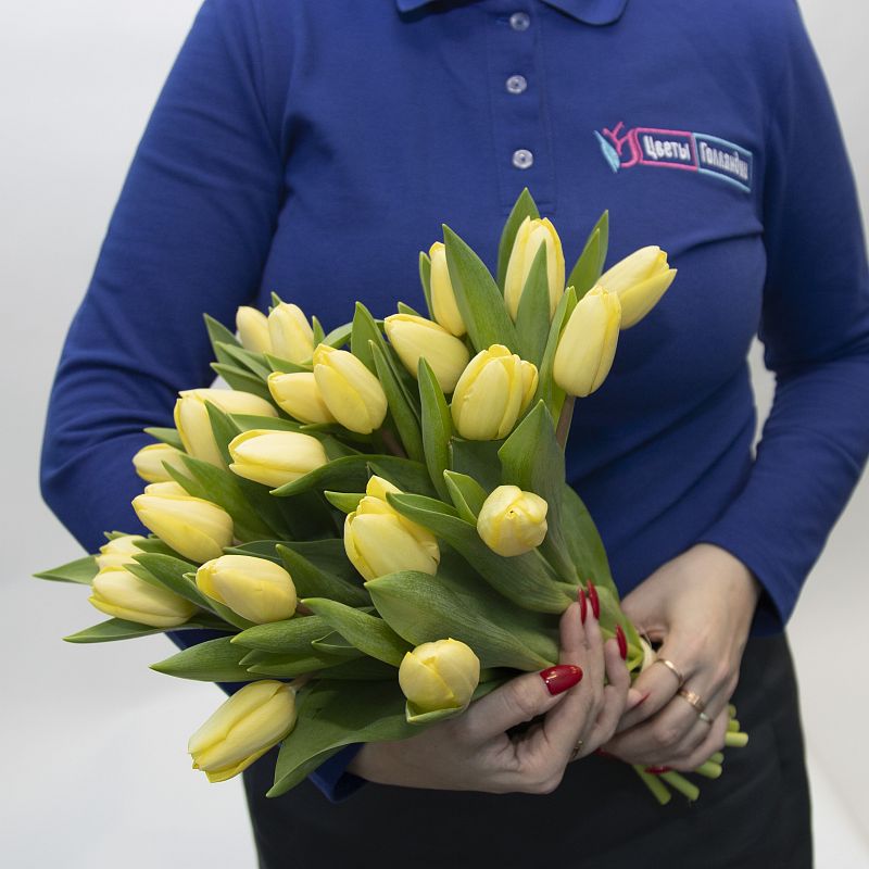 25 желтых тюльпанов фото