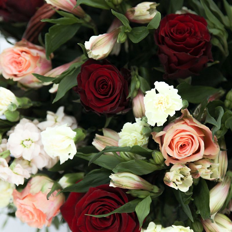 Феерия фото