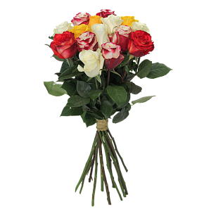 Роза Микс Э