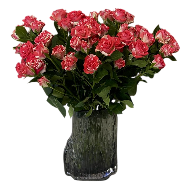 Кустовая роза Фаер Воркс 40 см фото