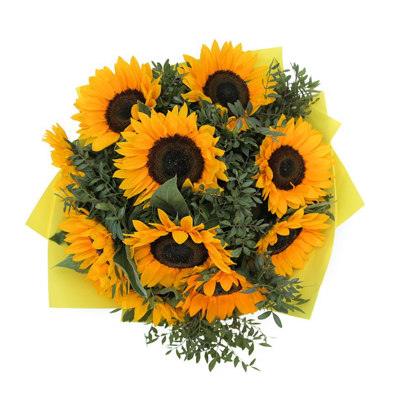 Солнечное настроение фото