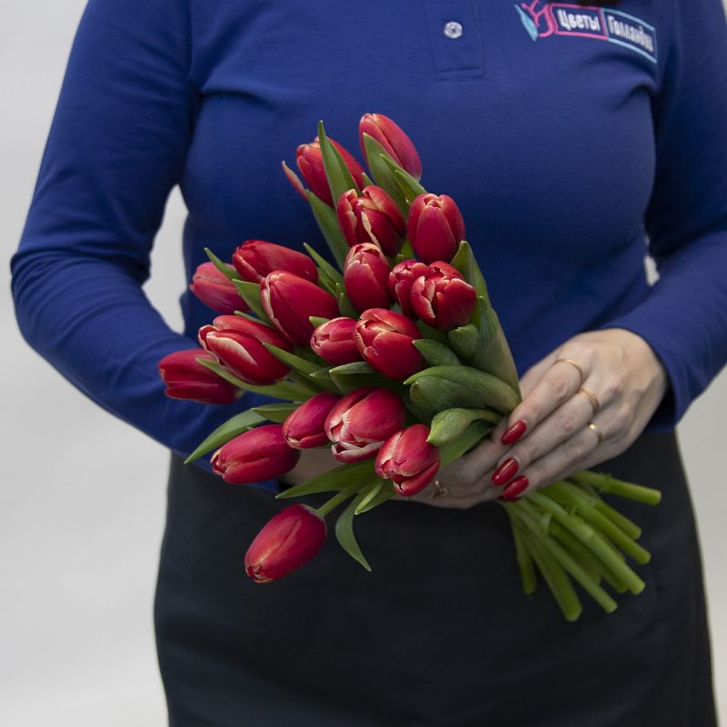 19 красных тюльпанов фото