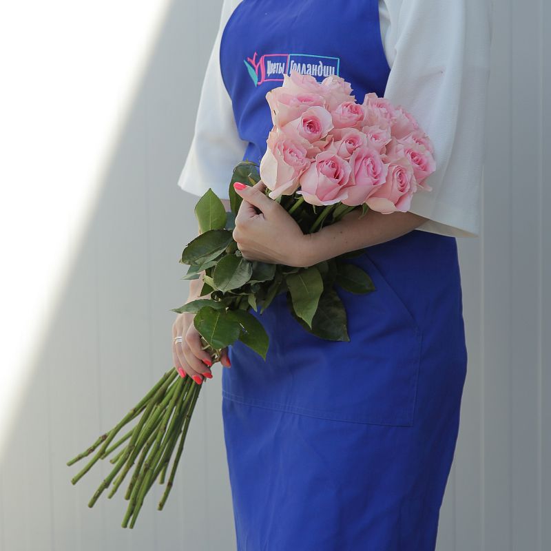 Роза Лучиано Э фото