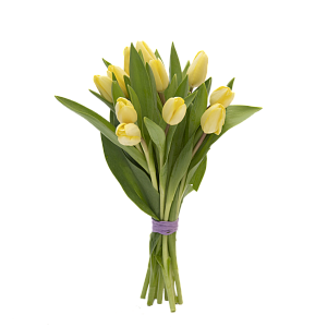 11 желтых тюльпанов