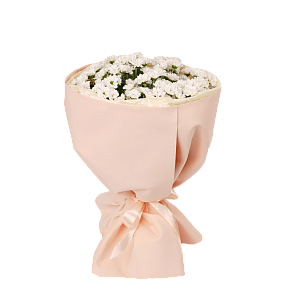 Белая нежность M