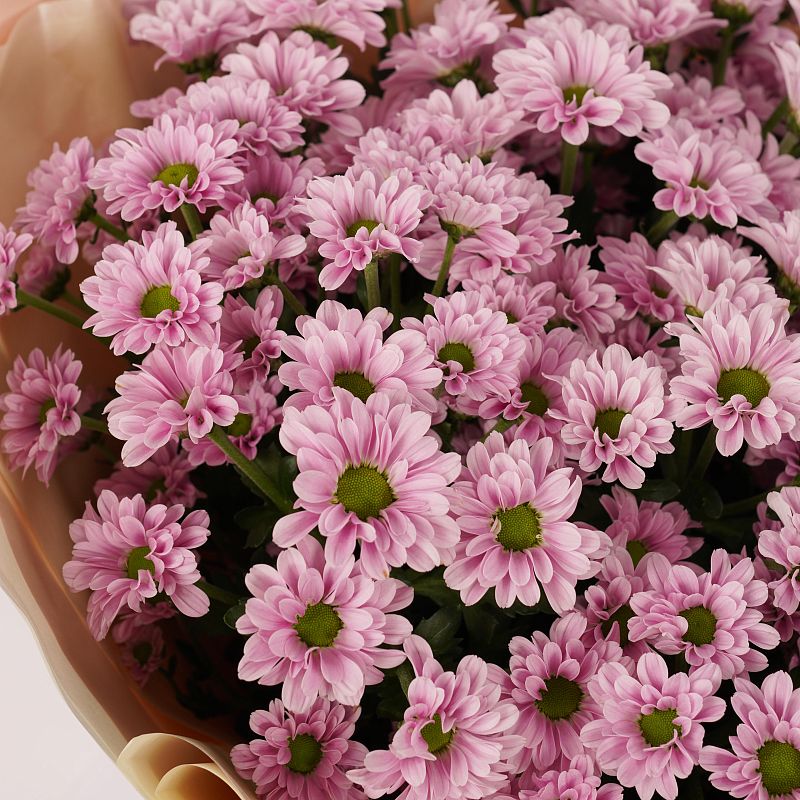 Розовая нежность L фото