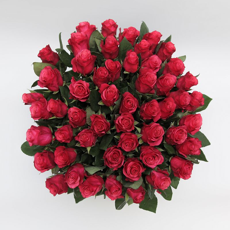 Роза Такаци фото