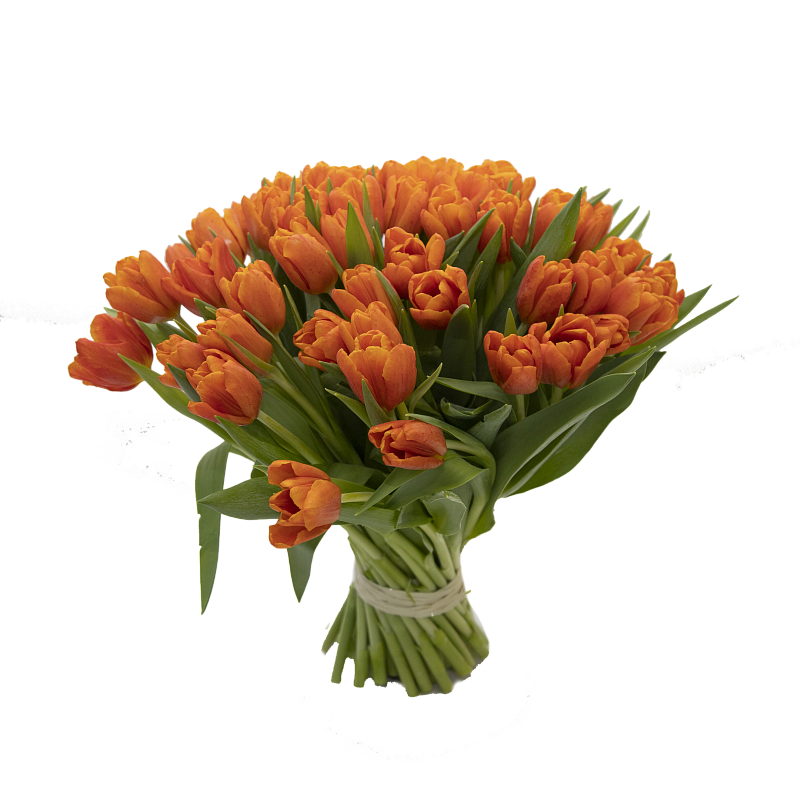 Букет оранжевых тюльпанов фото