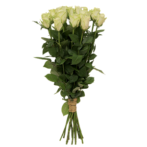 Букет белых роз Атена 50 см