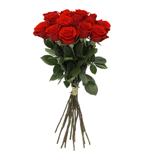 Роза Нина Э