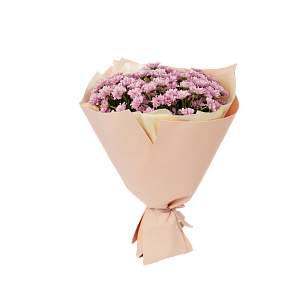 Розовая нежность M