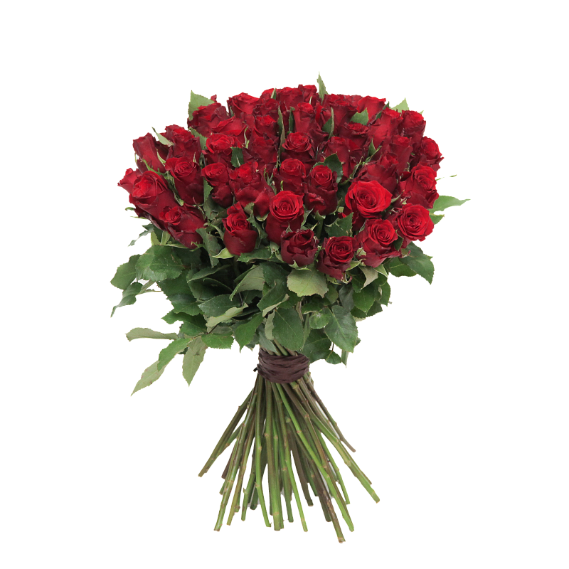 Букет из 51 красной розы Ред Тач 35 см фото