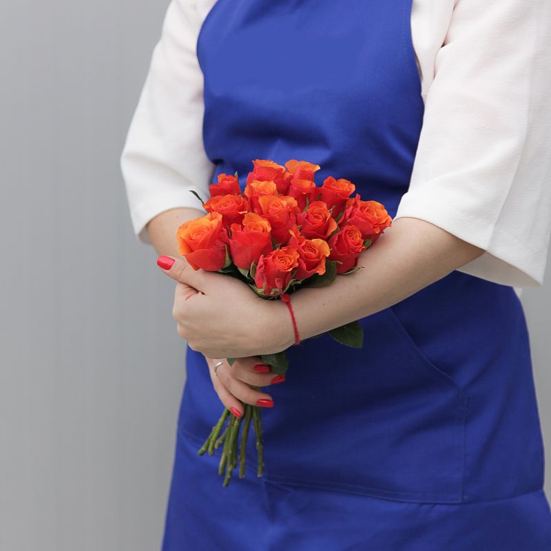 Роза Испания фото