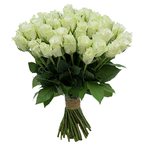 Букет из белых роз «Атена»