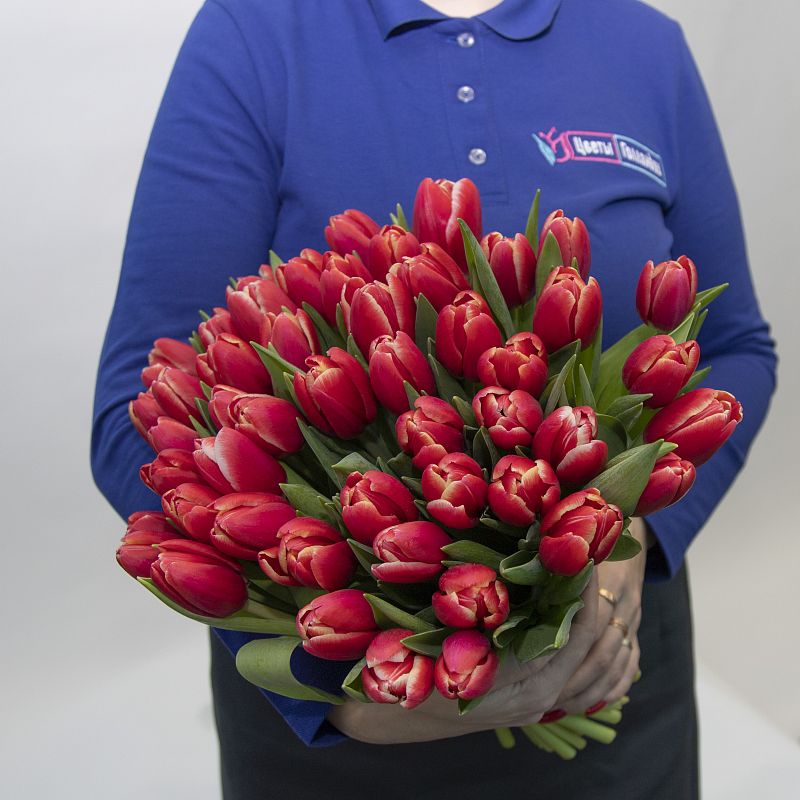 51 красный тюльпан фото