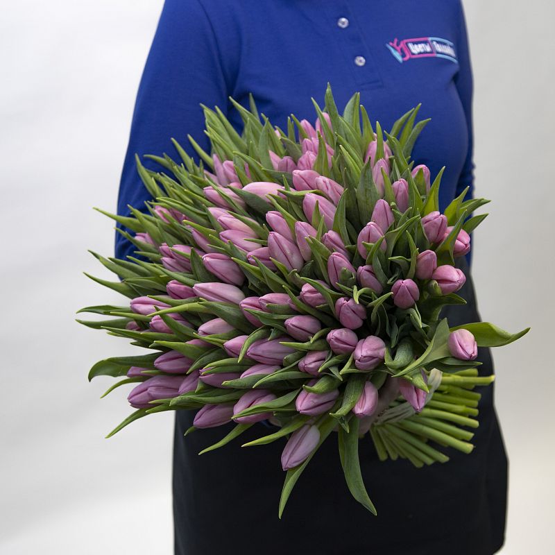 101 розовый тюльпан фото